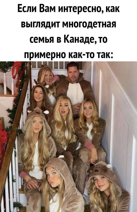Без комментария