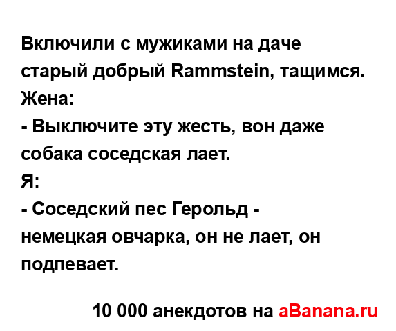 Включили с мужиками на даче старый добрый Rammstein,...