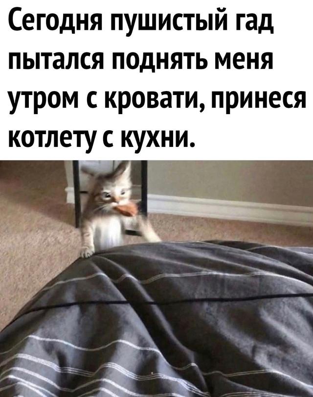 Немного милостей