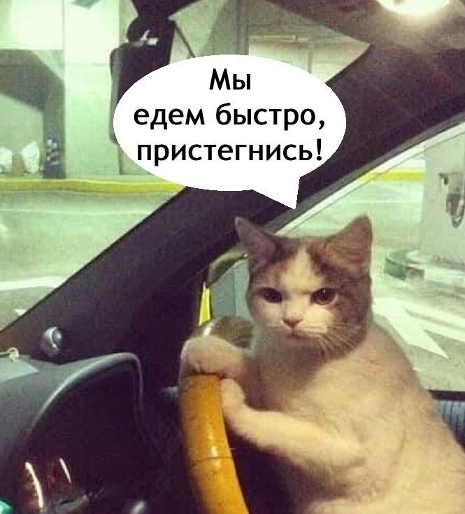 Во всем виновата весна