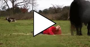 Без комментария