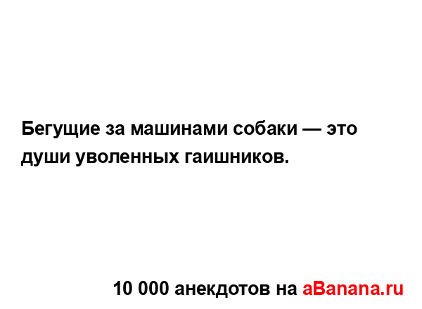 Бегущие за машинами собаки — это души yволенныx...