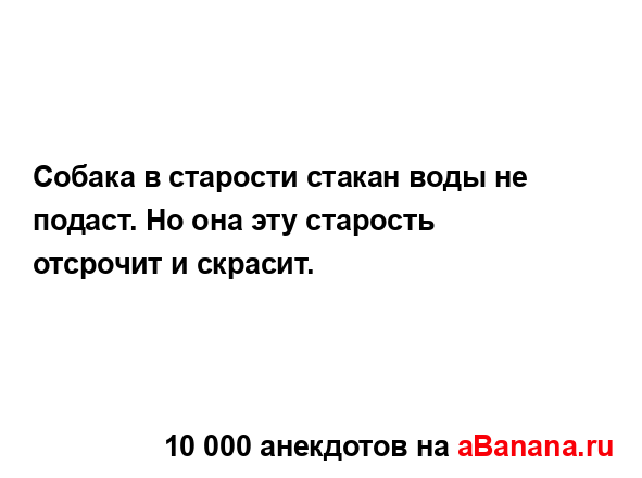 Собака в старости стакан воды не подаст. Но она эту...