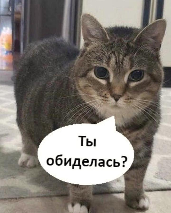 Ох уж эти девушки