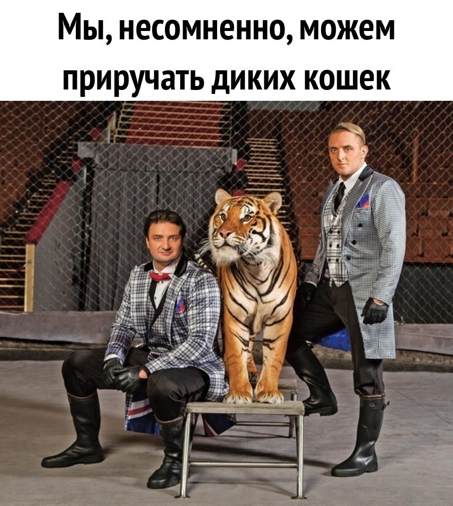 Такую Тигрицу приручить сложнее всего