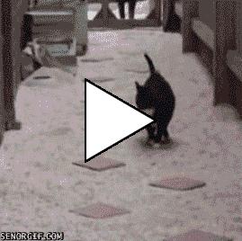 Без комментария