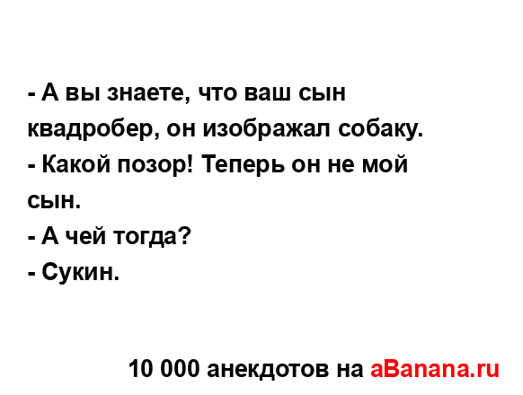 - А вы знаете, что ваш сын квадробер, он изображал...