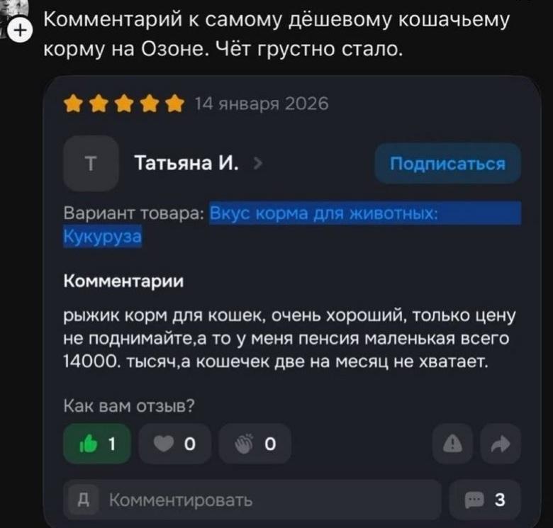 Самая трогательная история на сегодня: бабуля попросила продавца на маркетплейсе не повышать цены на самый дешевый корм, чтобы она смогла прокормить двух кошечек.