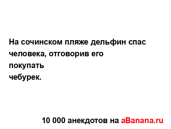 На сочинском пляже дельфин спас человека, отговорив...