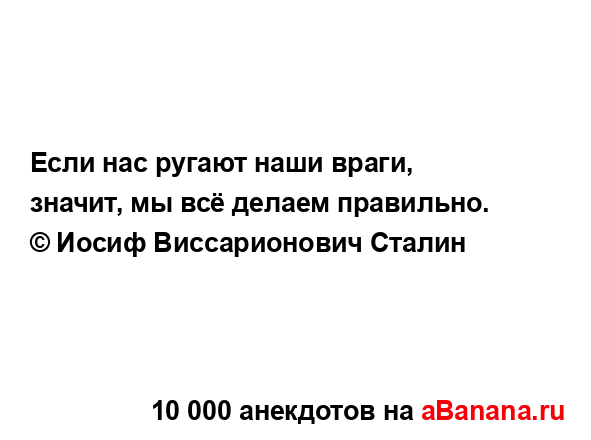 Если нас ругают наши враги, значит, мы всё делаем...