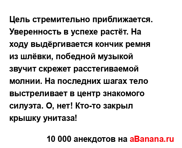 Цель стремительно приближается. Уверенность в успехе...