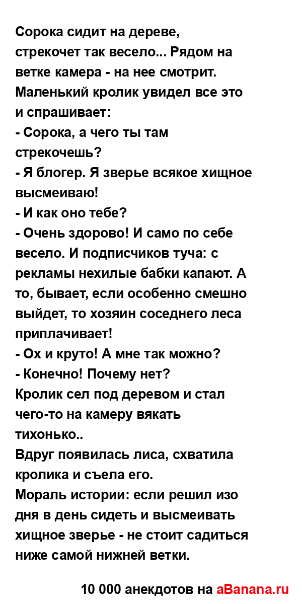 Сорока сидит на дереве, стрекочет так весело... Рядом на...