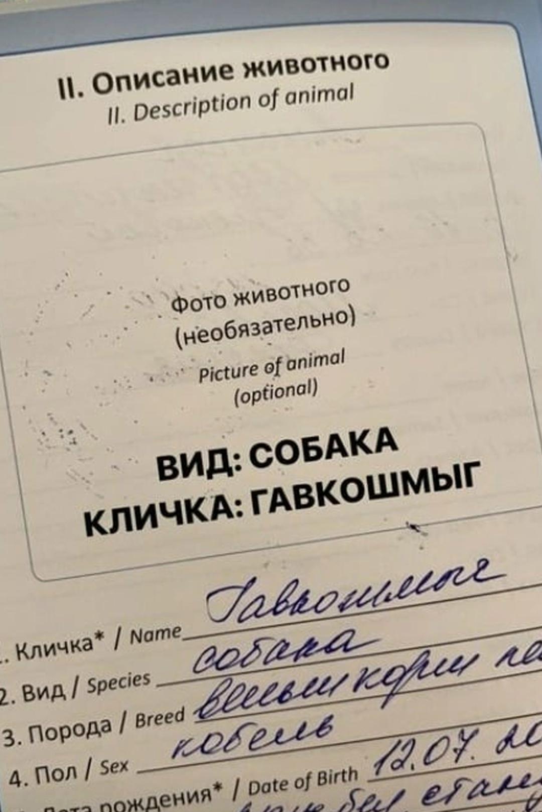 Гавкошмыг существуют