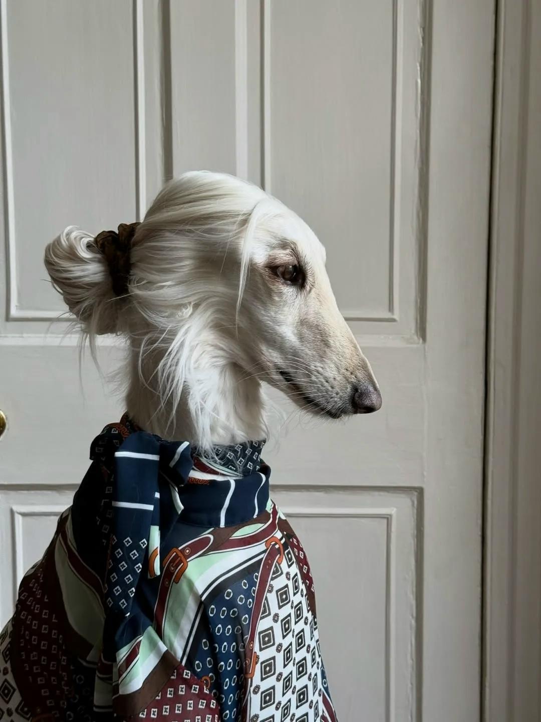 Знакомьтесь, это Саманта — икона стиля.