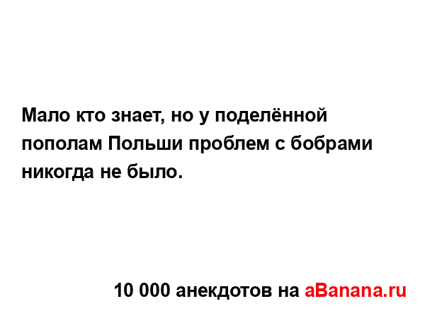 Мало кто знает, но у поделённой пополам Польши проблем...