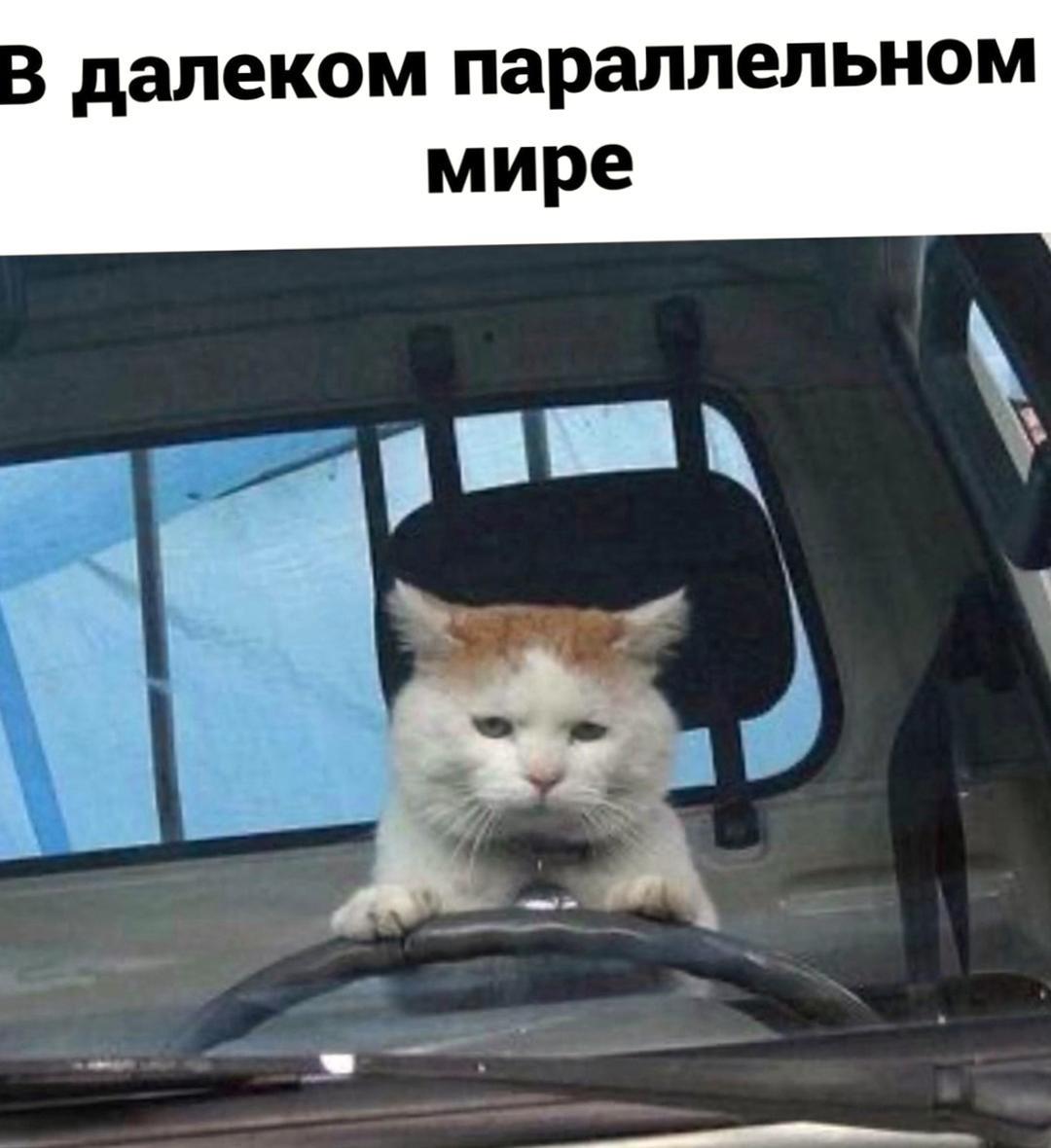 Я бы так пожил хотя бы день