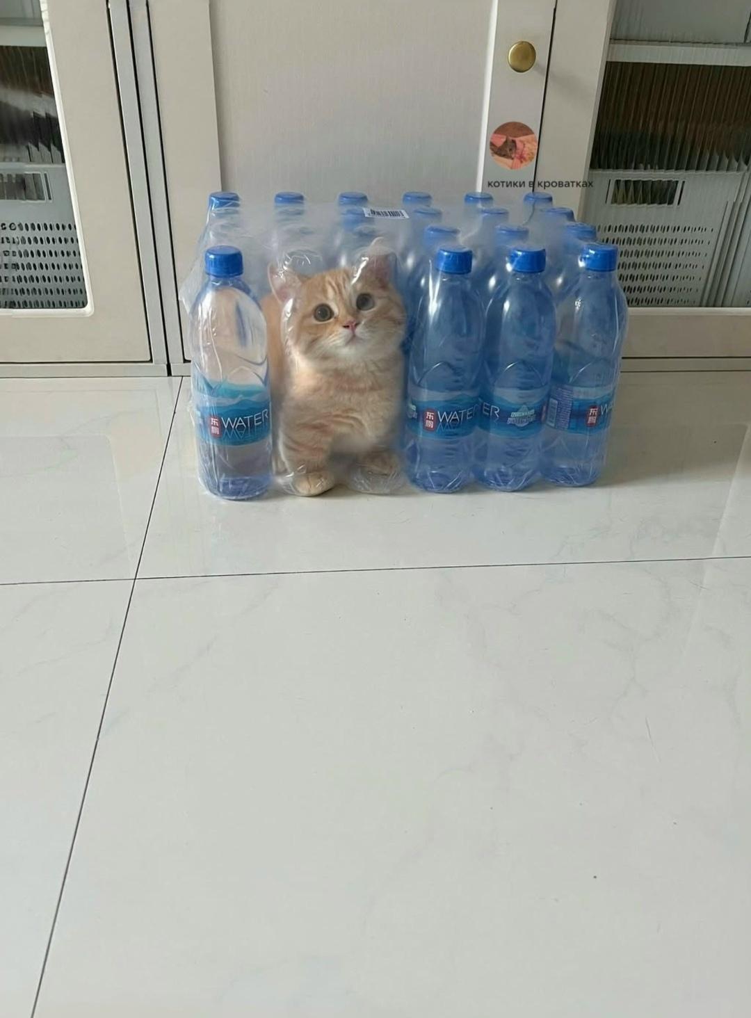 ёв компании всегда найдется друг, который захочет отличиться