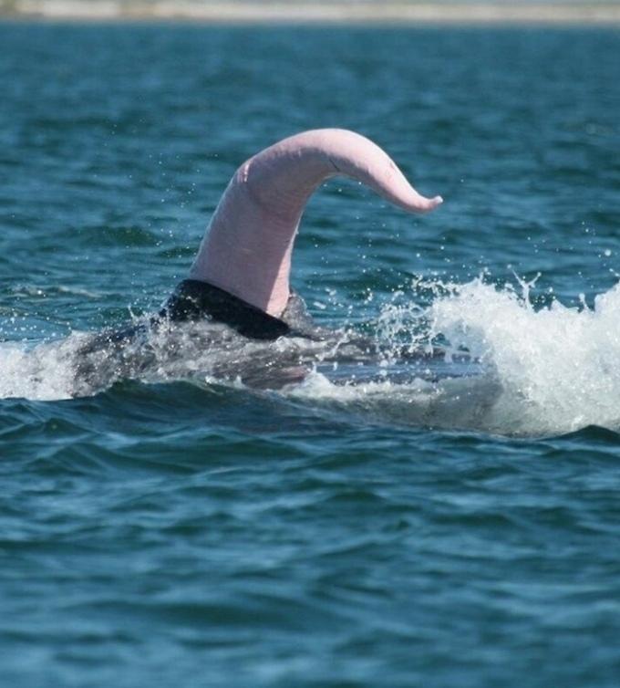 Долго доходило что это