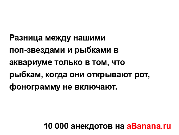 Разница между нашими поп-звездами и рыбками в...