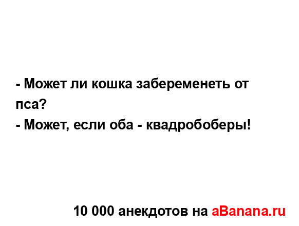 - Может ли кошка забеременеть от пса?...