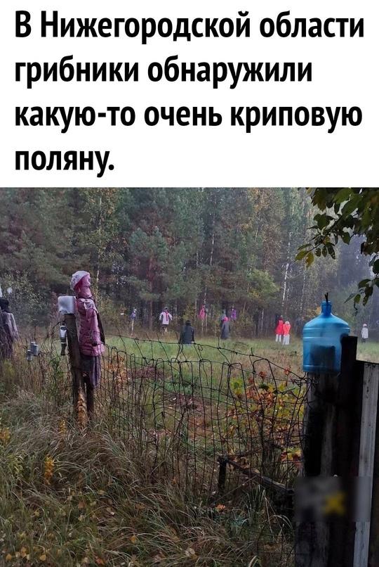 Ночью в таком лесу лучше не гулять