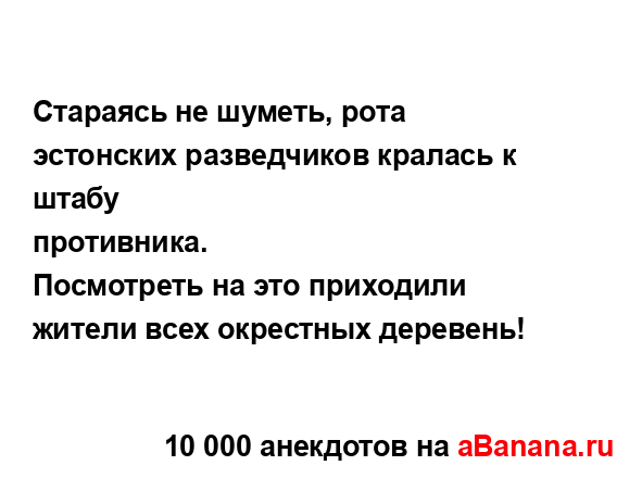 Стараясь не шуметь, рота эстонских разведчиков...