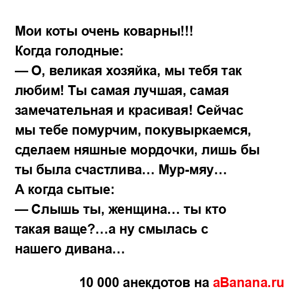 Мои коты очень коварны!!!
...