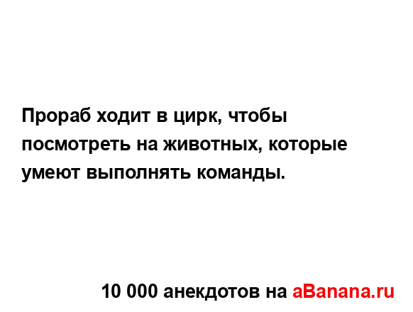Прораб ходит в цирк, чтобы посмотреть на животных,...