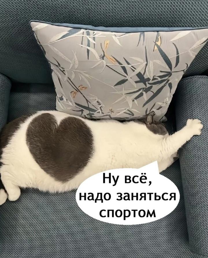 Как ни будь в следующий раз