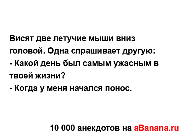 Висят две летучие мыши вниз головой. Одна спрашивает...