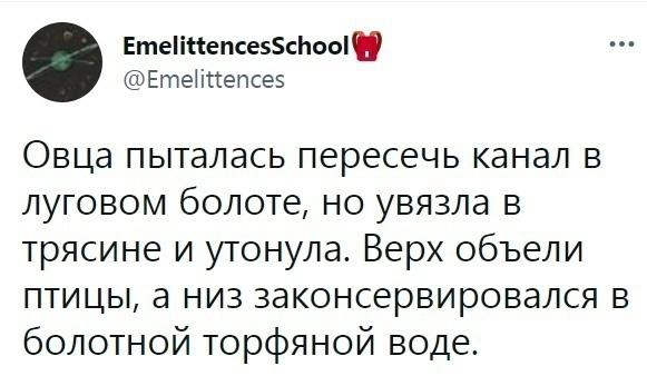 Вот так чувствуется спина по утрам