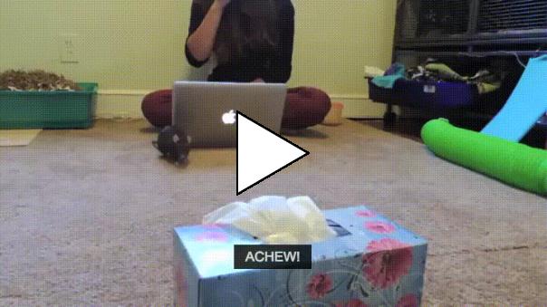 Без комментария