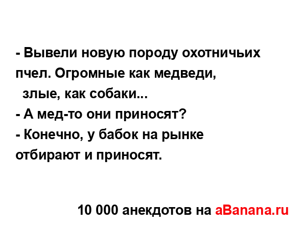 - Вывели новую породу охотничьих пчел. Огромные как...