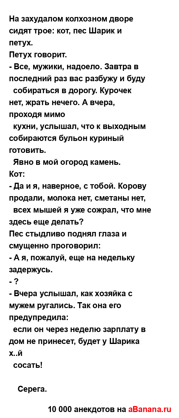 На захудалом колхозном дворе сидят трое: кот, пес Шарик...