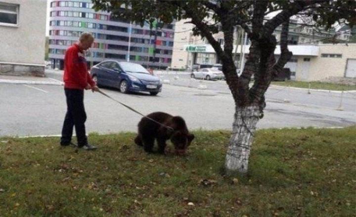 Типичные будни в России