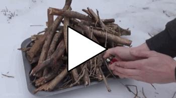 Без комментария