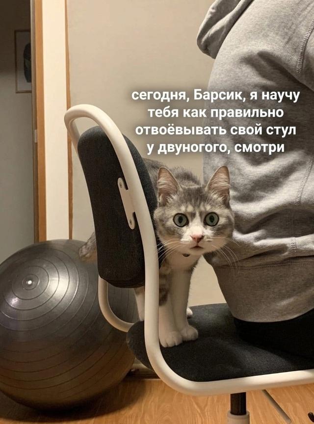 Они точно знают больше нас