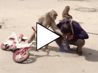 Без комментария