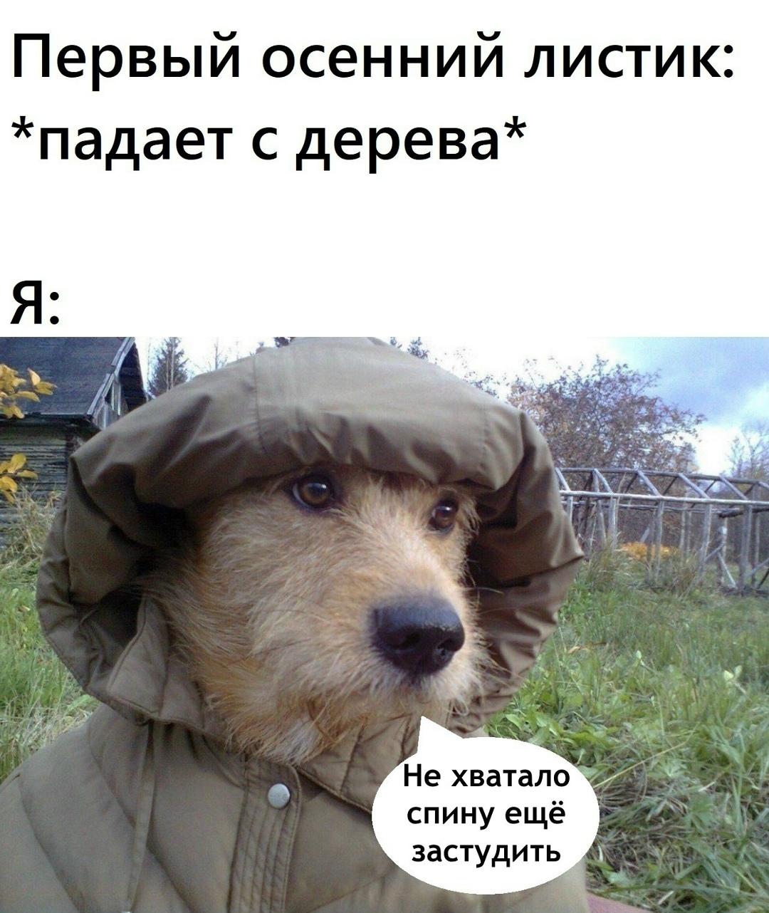 Лунный свет провожает самые нежные сны