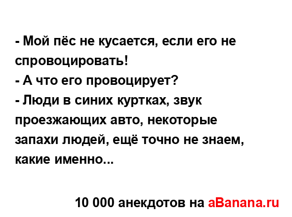 - Мой пёс не кусается, если его не спровоцировать!
...