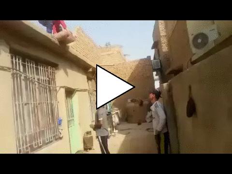 Без комментария