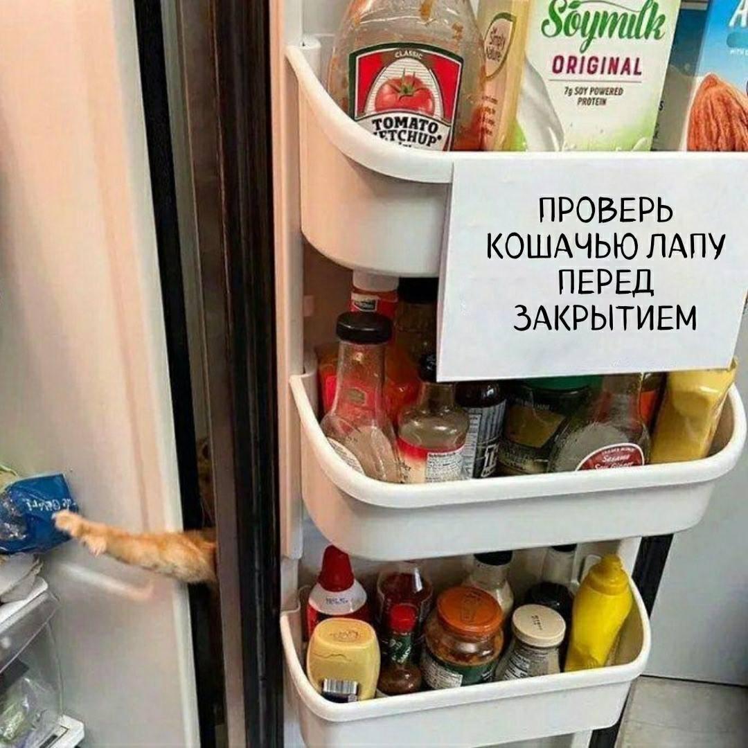 Без комментария