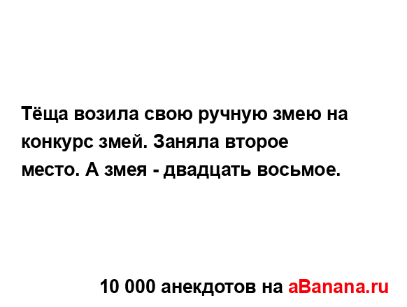 Тёща возила свою ручную змею на конкурс змей. Заняла...