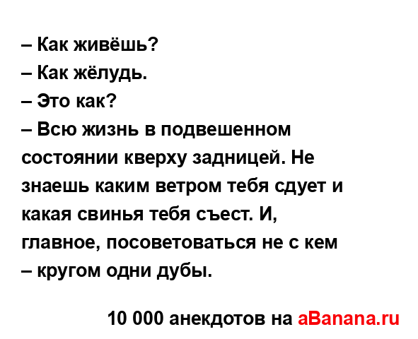 – Как живёшь?
...