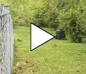 Без комментария