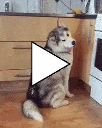 Без комментария