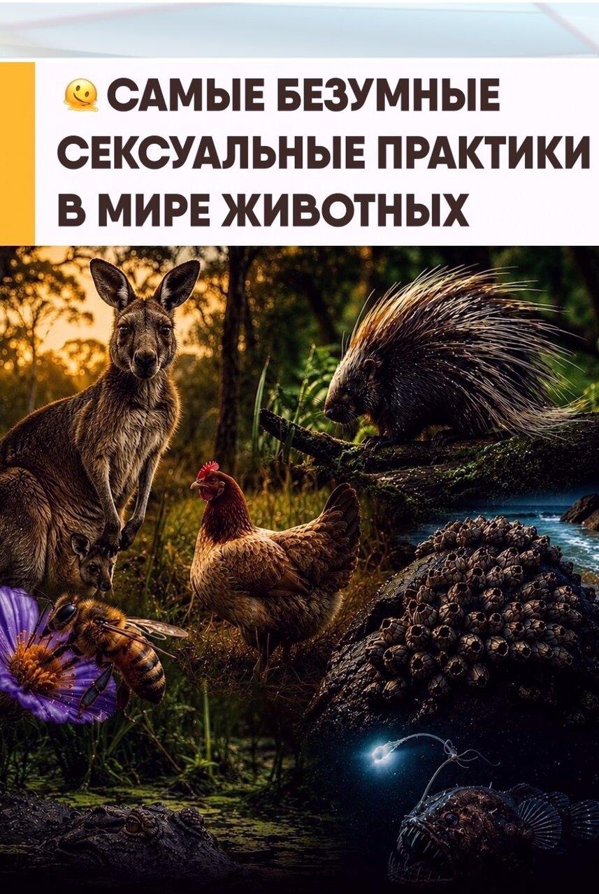 Πриродa продолжаeт yдивлять дажe тeх, кто поcвятил eй вcю жизнь.