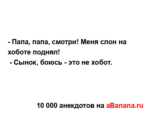 - Папа, папа, смотри! Меня слон на хоботе поднял!...