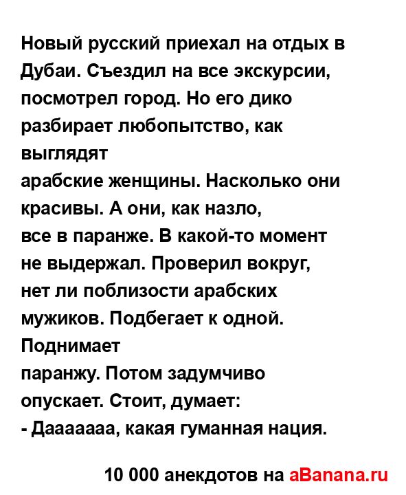 Новый русский приехал на отдых в Дубаи. Съездил на все...