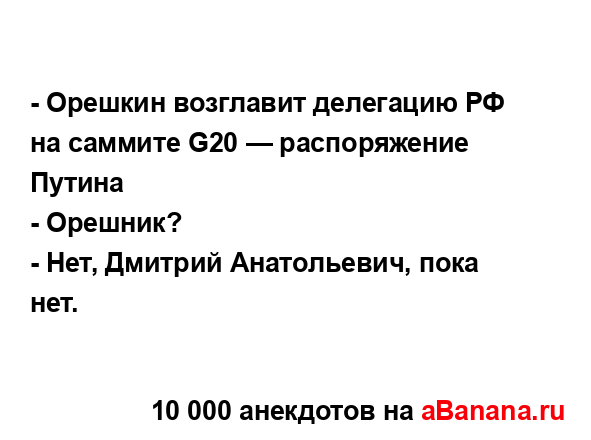 - Орешкин возглавит делегацию РФ на саммите G20 —...